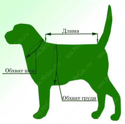 Как измерить собаку?